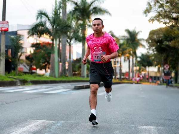 Performance polyester sports t-shirts with mesh panels